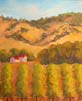 Hideaway among the Vineyards