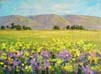 Meadow Flowers