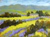 Springtime Colors II