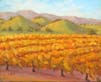 Vineyard at Zaca Road