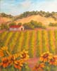 Vineyards and Sunflowers copy