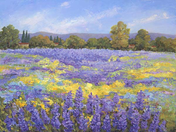 Lupine Field