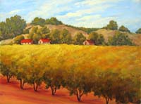 Chardonnay Valley