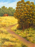 Eucalyptus and Old Barn