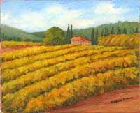 Paredon Vineyard _2