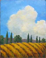 Paredon Vineyard_1