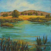 Pond at Sedgwick Preserve
