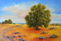 Valley Oak