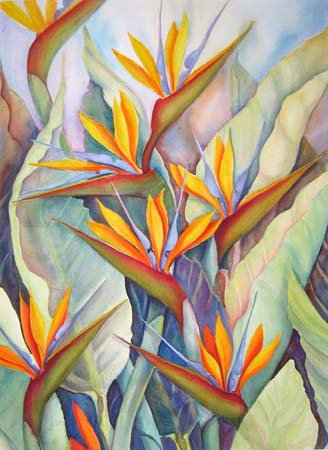 Bird of Paradise