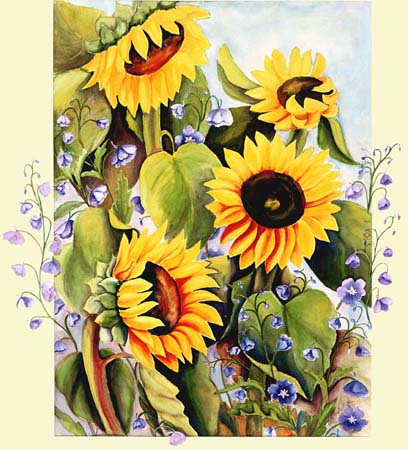 sunflowers