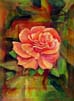 Rose Fantasy
