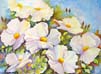 Summer Flowers