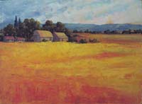 cb Happy Valley Golden Field