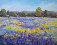 dLupine and Mustard Field