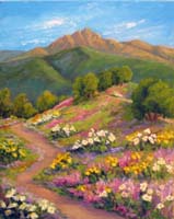 jPorter Trail in Spring