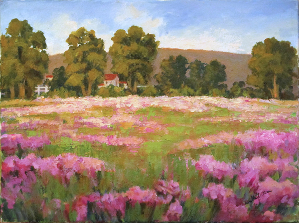 1 Cosmos Field