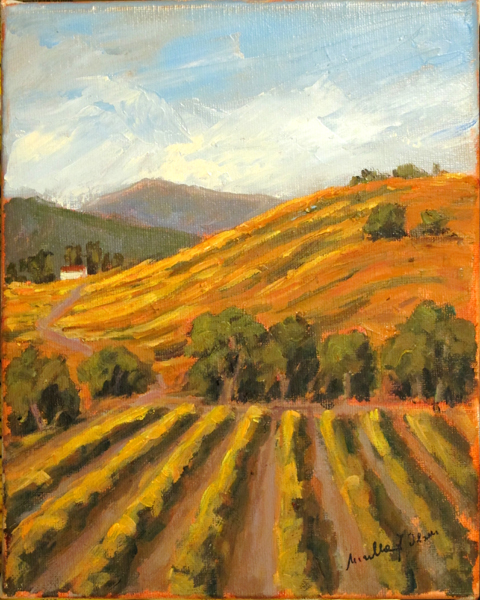 VIneyard at Santa Rita Hills