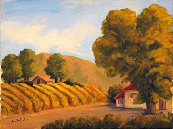 Vineyard at Alamo Pintado