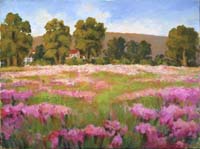 1 Cosmos Field