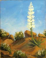 Hepseroyucca whipplei