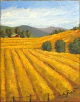 Santa Rita Valley