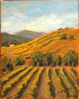 VIneyard at Santa Rita Hills