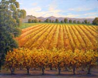 Vineyards at Zaca Road