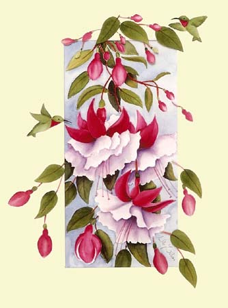  Magenta Fuchsia 