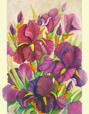  Iris