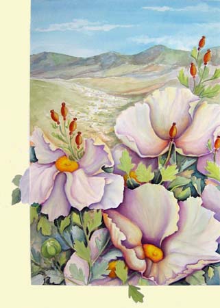  Matilija Poppies