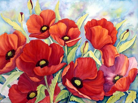  Red Poppies