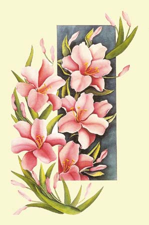 Verona Lilies