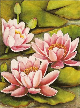 Waterlilies