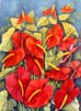 01 Anthuriums