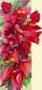 03 Bougainvillea_1