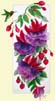 06a Fuchsia_1