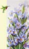 08 California Iris_1