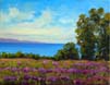 8 Carp Bluffs Flower Fields II