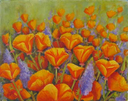 California Poppies