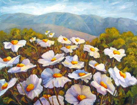 Matilija Poppies along Jacinto Reyes Scenic Byway