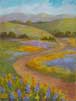 Sedgwick Ranch Road